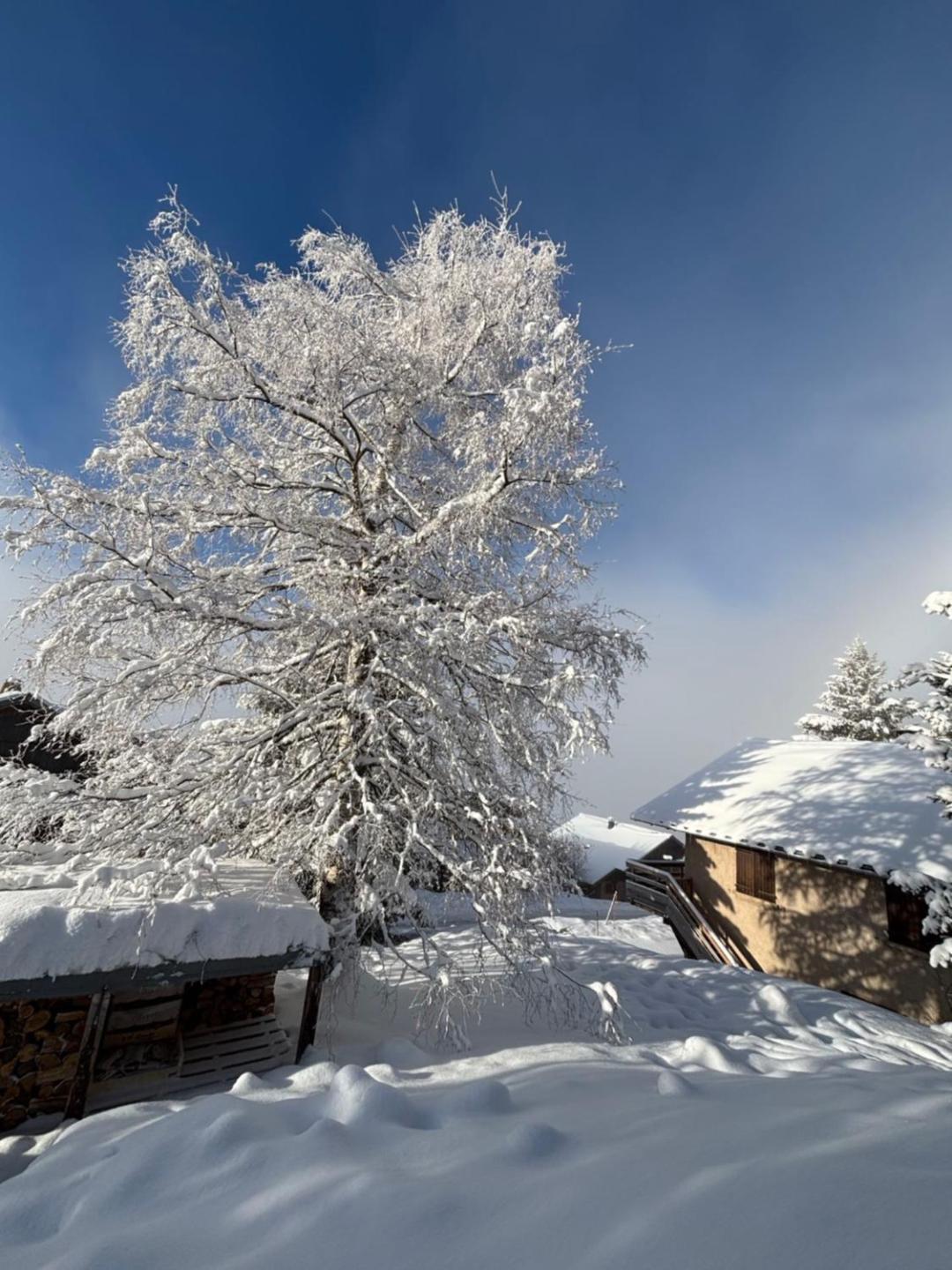 Chalet Rouge Ou Blanc Villard-Reculas Luaran gambar